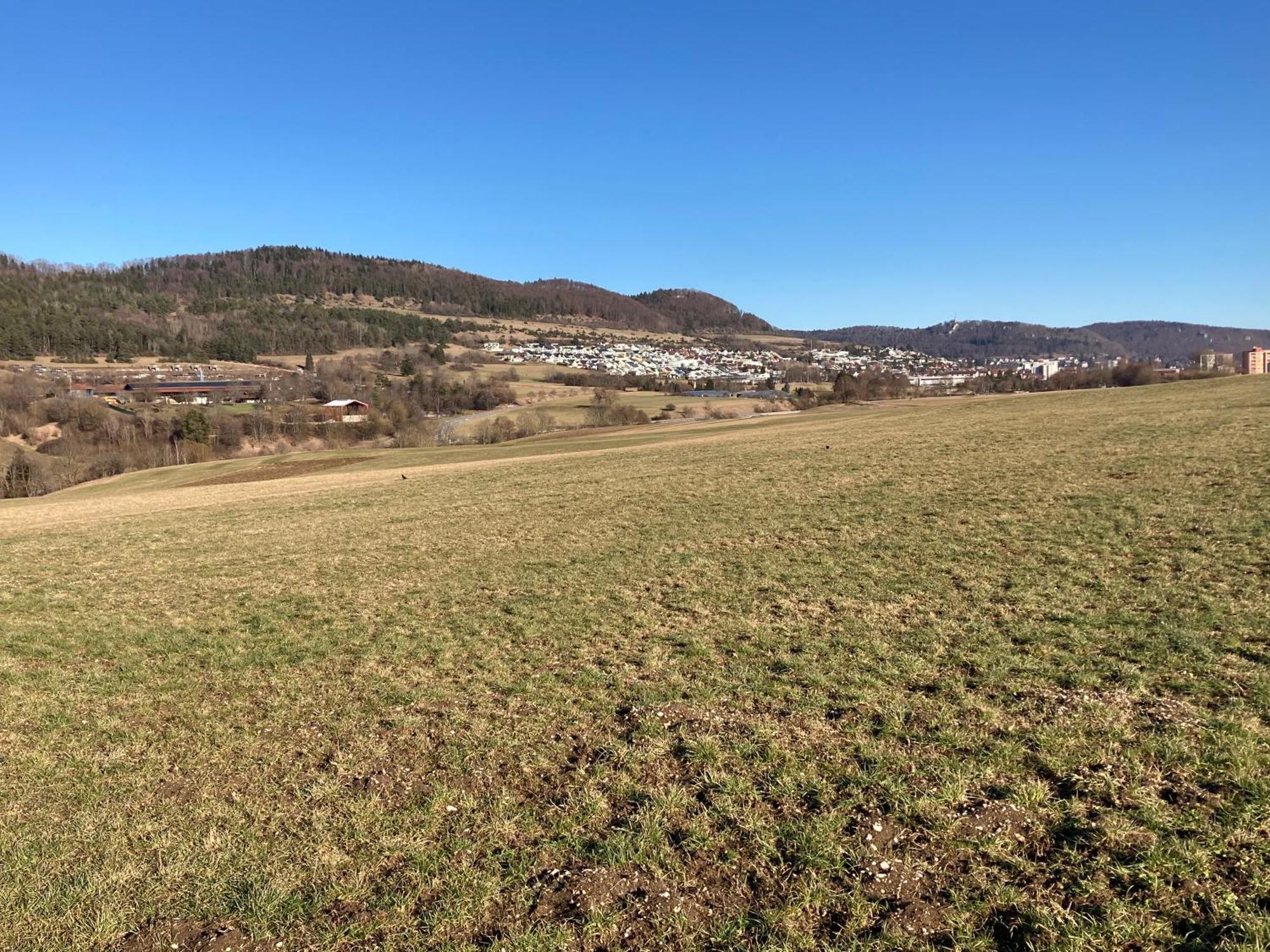 Appartement Atemberaubender Ausblick Mit Premium-Wanderwegen Vor Der Haustuer à Albstadt Extérieur photo