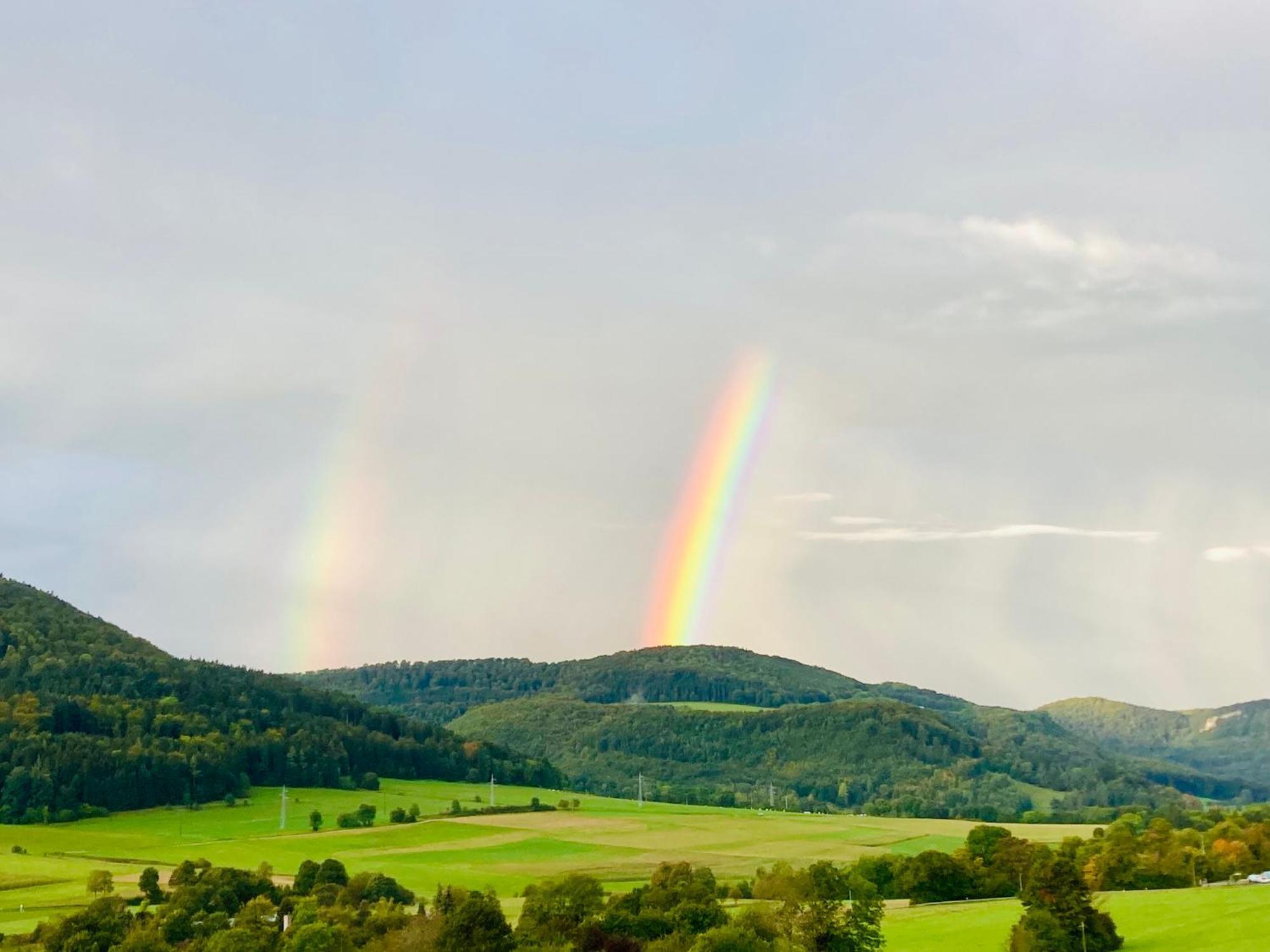 Appartement Atemberaubender Ausblick Mit Premium-Wanderwegen Vor Der Haustuer à Albstadt Extérieur photo