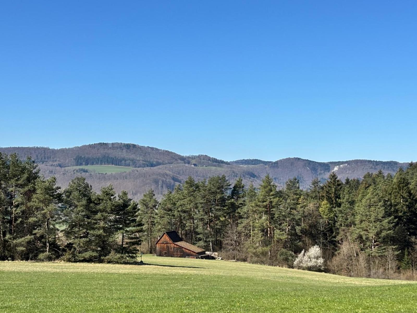 Appartement Atemberaubender Ausblick Mit Premium-Wanderwegen Vor Der Haustuer à Albstadt Extérieur photo